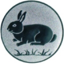 Kaninchen 1